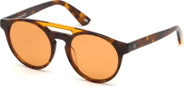 Brown Plastic Sunglasses