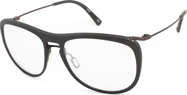 Black Plastic Sunglasses