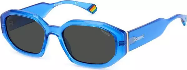 Blue Plastic Sunglasses