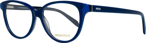 Blue Plastic Glasses (Frames)