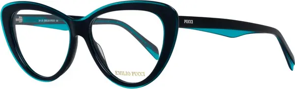Blue Plastic Glasses (Frames)