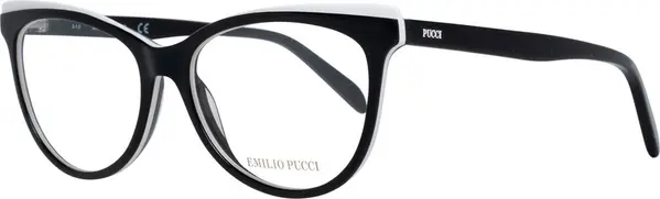 Black Plastic Glasses (Frames)