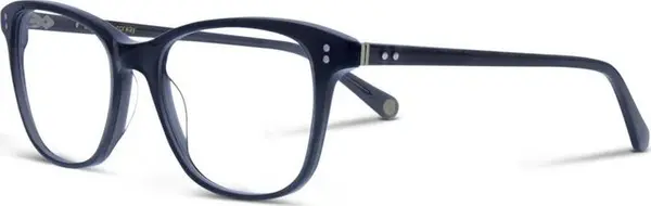 Blue Resin Glasses (Frames)