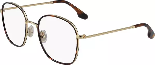 Brown Metal Glasses (Frames)