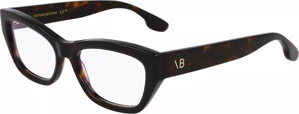 Brown Acetate Glasses (Frames)