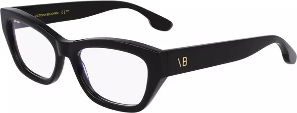 Black Acetate Glasses (Frames)