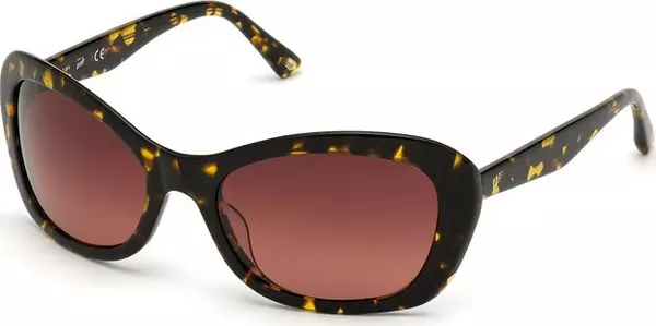 Brown Plastic Sunglasses