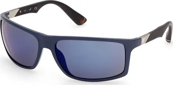 Blue Acetate Sunglasses