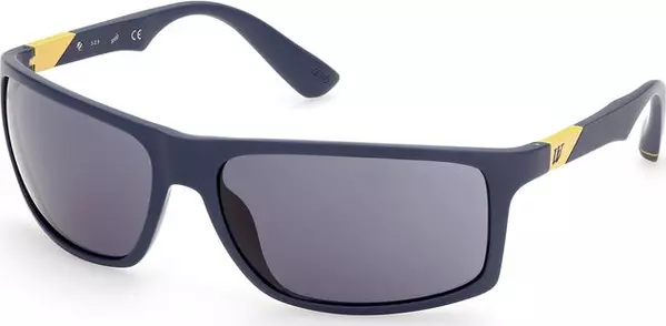 Blue Acetate Sunglasses