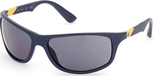 Blue Acetate Sunglasses