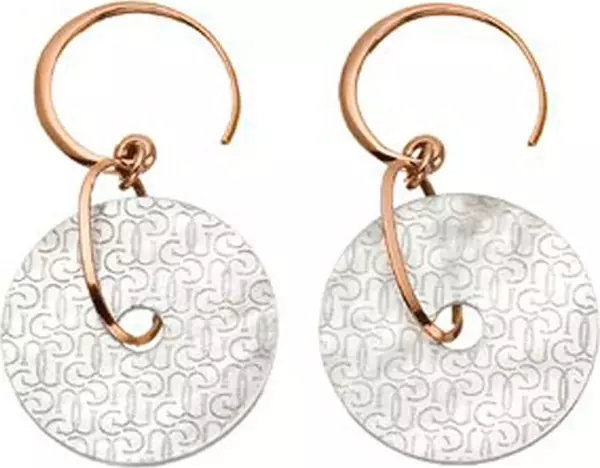 Bicolor Silver Earrings