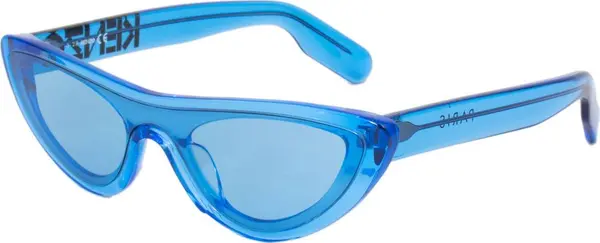 Blue Acetate Sunglasses