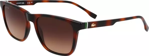 Brown Injected Sunglasses
