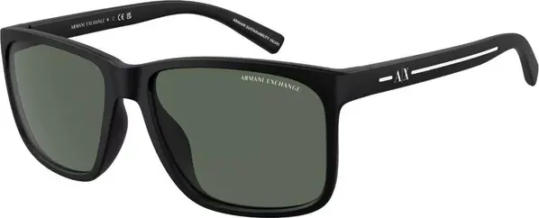 Black Resin Sunglasses