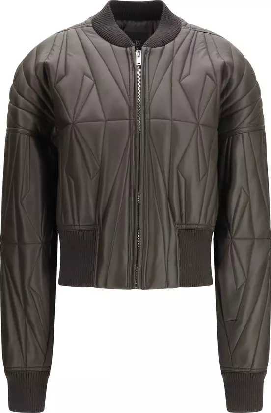 Brown Lamb Ovis Aries Aries Bomber