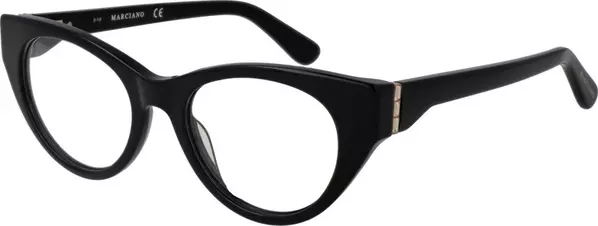 Black Plastic Glasses (Frames)