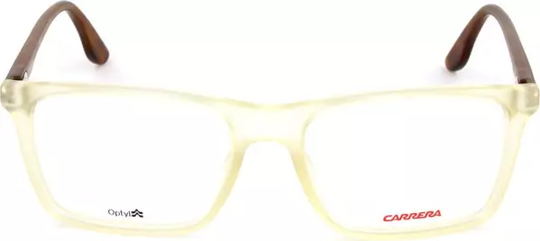 Brown Resin Glasses (Frames)