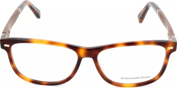 Brown Resin Glasses (Frames)