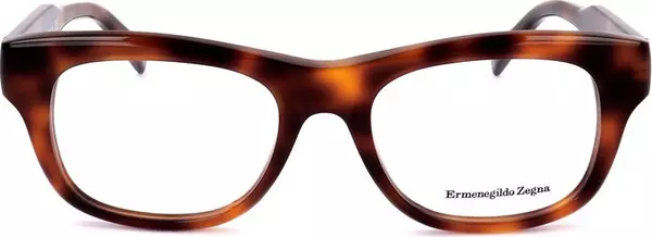 Brown Resin Glasses (Frames)
