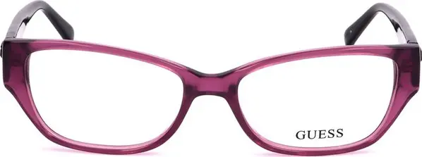 Purple Resin Glasses (Frames)