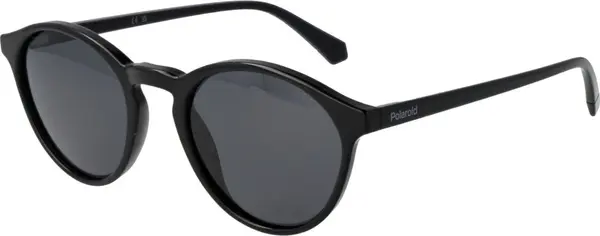 Black Polycarbonate Sunglasses