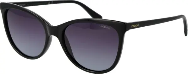 Black Polycarbonate Sunglasses