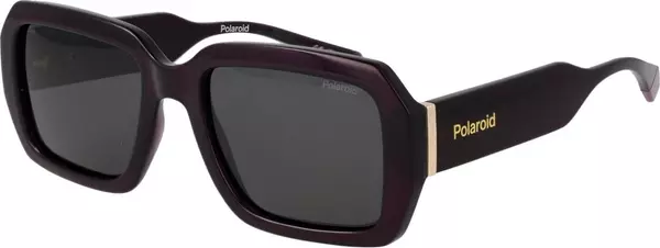 Purple Plastic Sunglasses