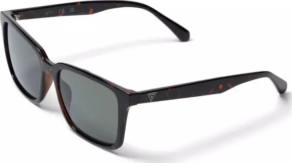 Brown Resin Sunglasses