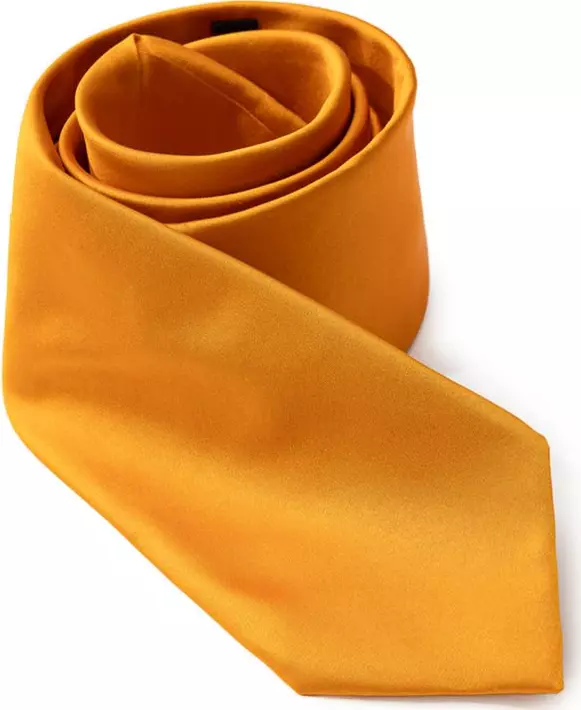 Orange Silk Tie
