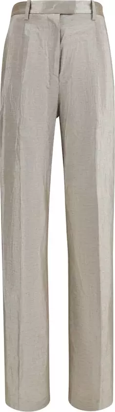 Silver Polyester Casual Pants