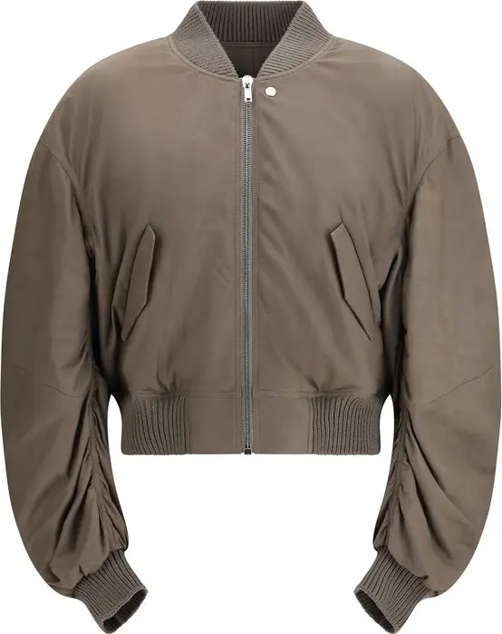 Gray Lamb Ovis Aries Aries Bomber