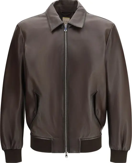 Brown Lamb Ovis Aries Aries Bomber