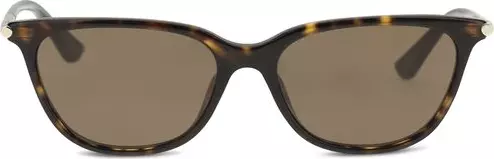 Brown Acetate Sunglasses