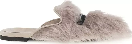 Gray Lamb Ovis Aries Aries Mules