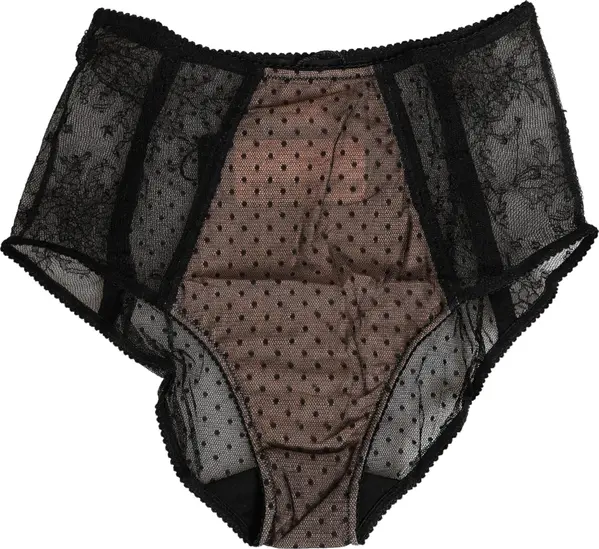 Black Sheer Polka Dot Lace High Waist Brief Underwear