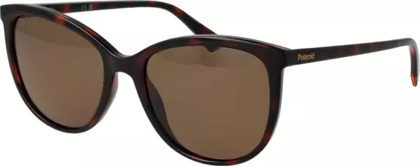 Brown Plastic Sunglasses
