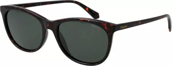 Brown Plastic Sunglasses