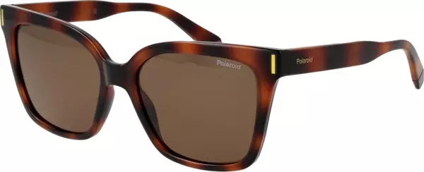 Brown Plastic Sunglasses