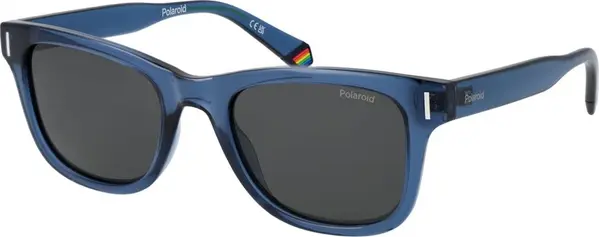 Blue Plastic Sunglasses