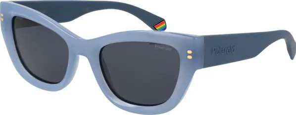 Blue Plastic Sunglasses