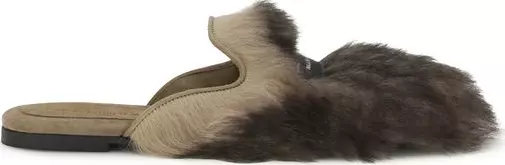 Gray Lamb Ovis Aries Aries Mules