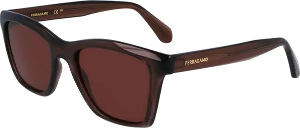 Brown Injected Sunglasses