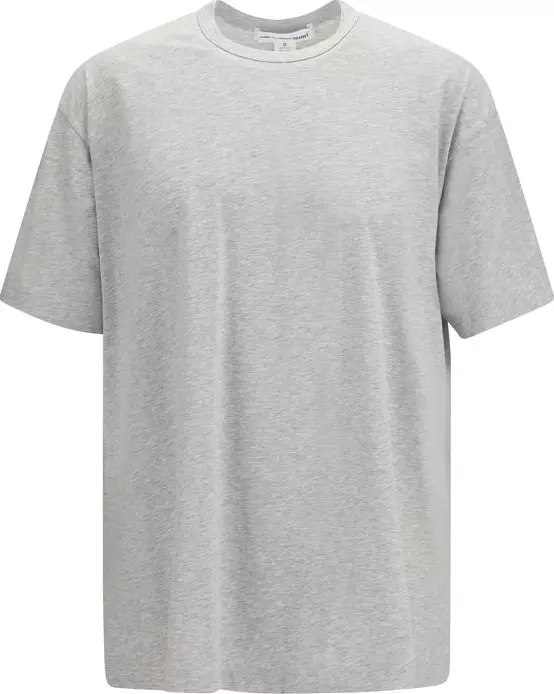 Gray Cotton T-Shirt
