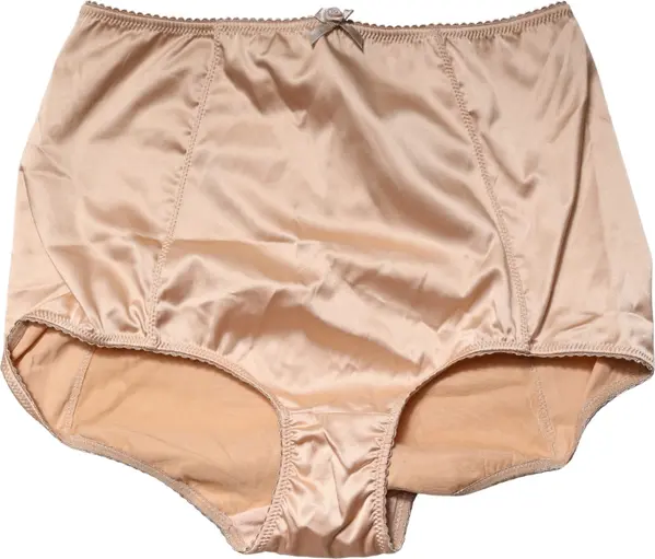 Beige Silk Blend High Waist Girdle Panty Underwear
