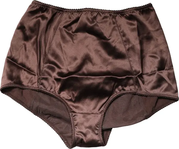 Brown Silk Blend High Waist Girdle Panty Underwear