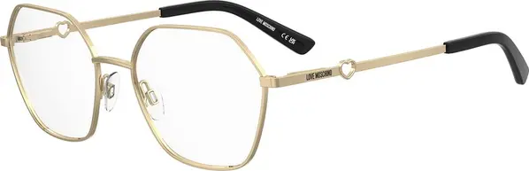 Gold Metal Glasses (Frames)