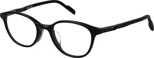 Black Plastic Glasses (Frames)