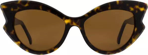 Brown Acetate Sunglasses