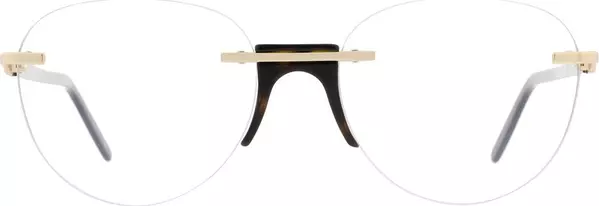 Transparent Acetate Glasses (Frames)