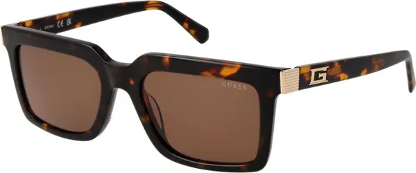 Brown Acetate Sunglasses